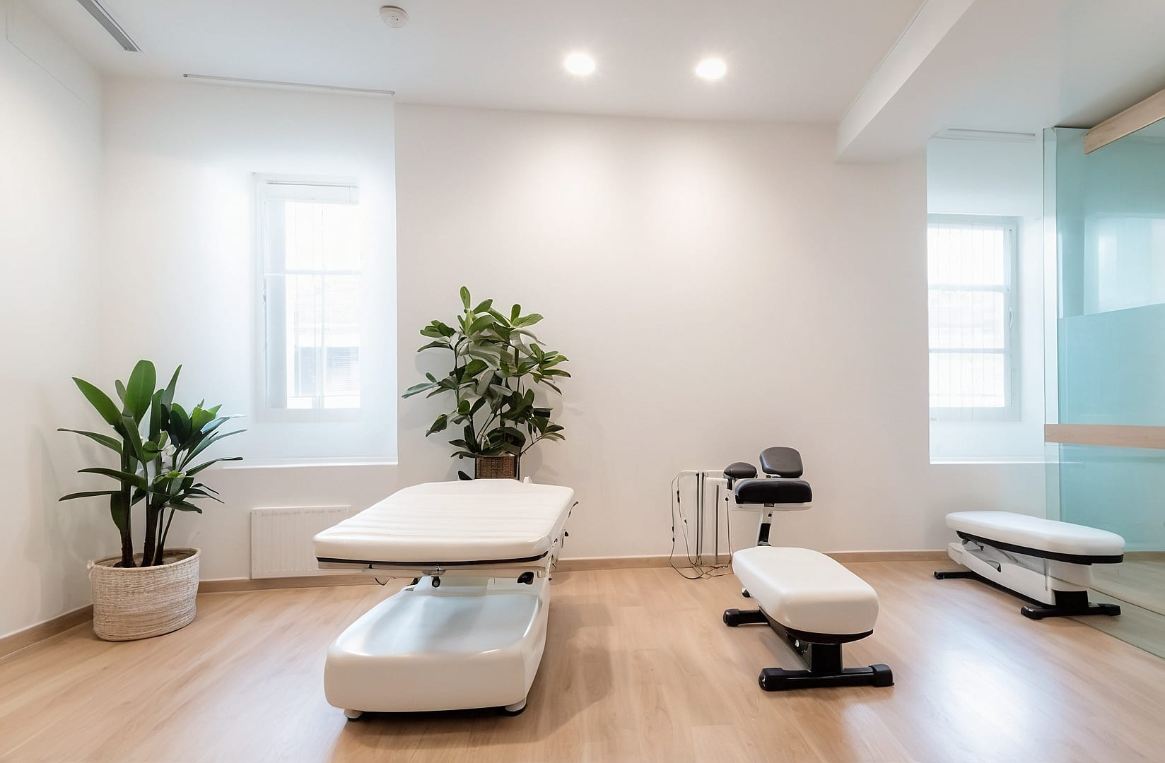 Guía hacia equilibrio salud y bienestar